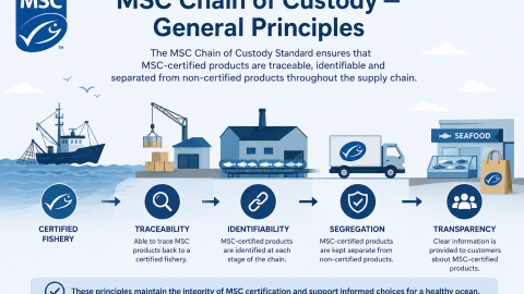 General Principles
